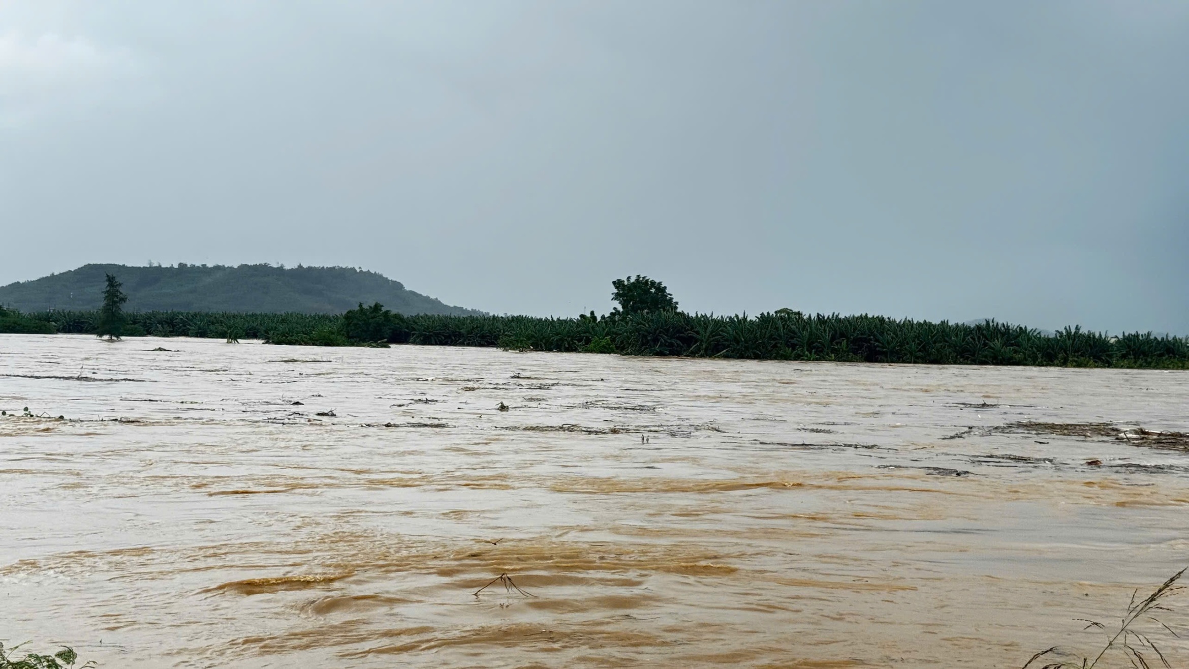 救援被困在茶曲河凶险洪水中的牧牛男子